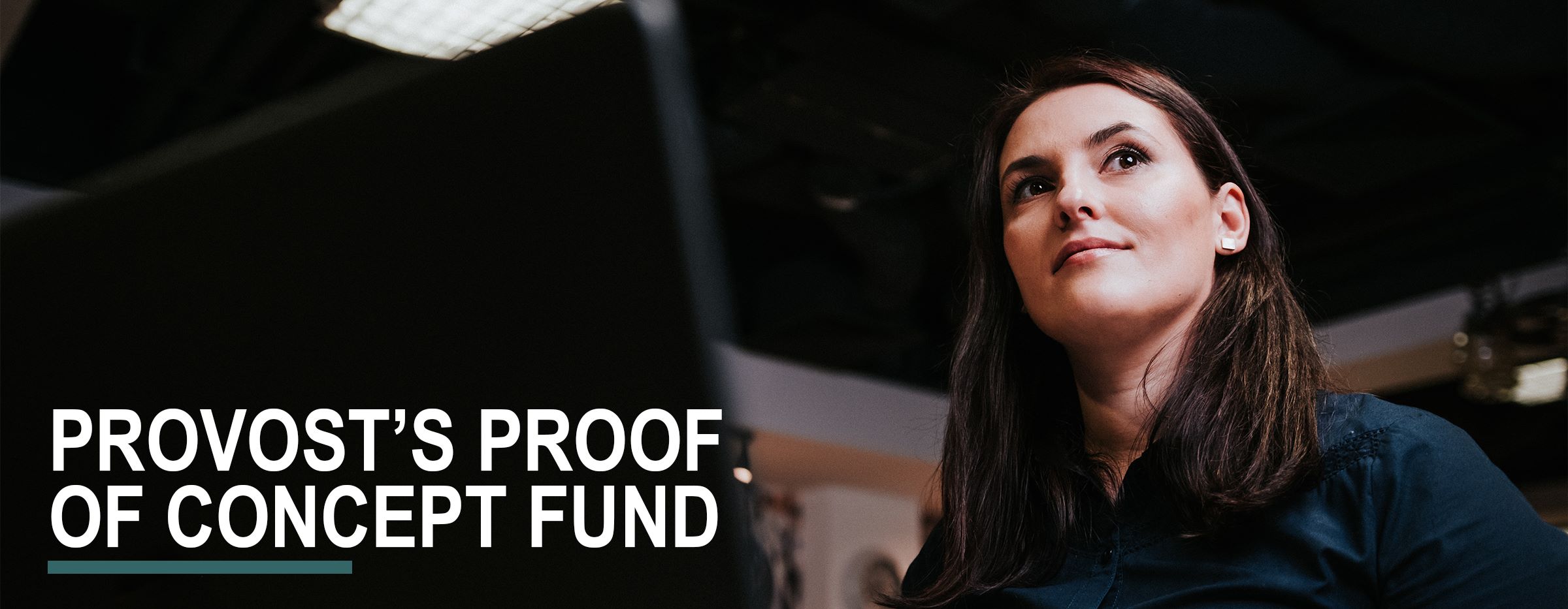 Provost's Proof of Concept Fund
