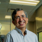 Vijay John, Ph.D.