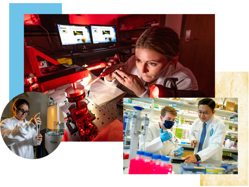 Collage of researchers in lab setting