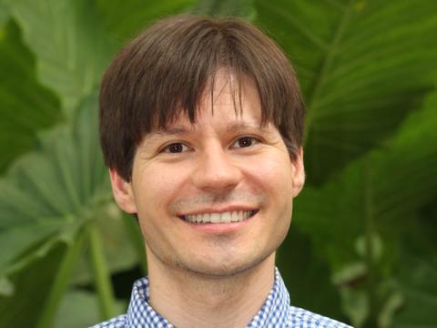 Matthew M. Montemore, Ph.D.