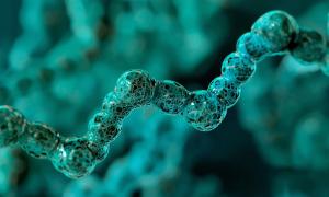 Peptide Compositions and methods of use thereof
