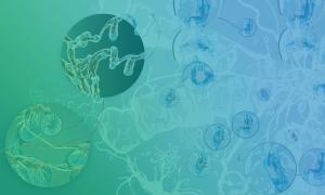 Illustration of magnified biological structures and neural networks on a blue-green background.