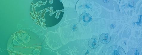 Illustration of magnified biological structures and neural networks on a blue-green background.